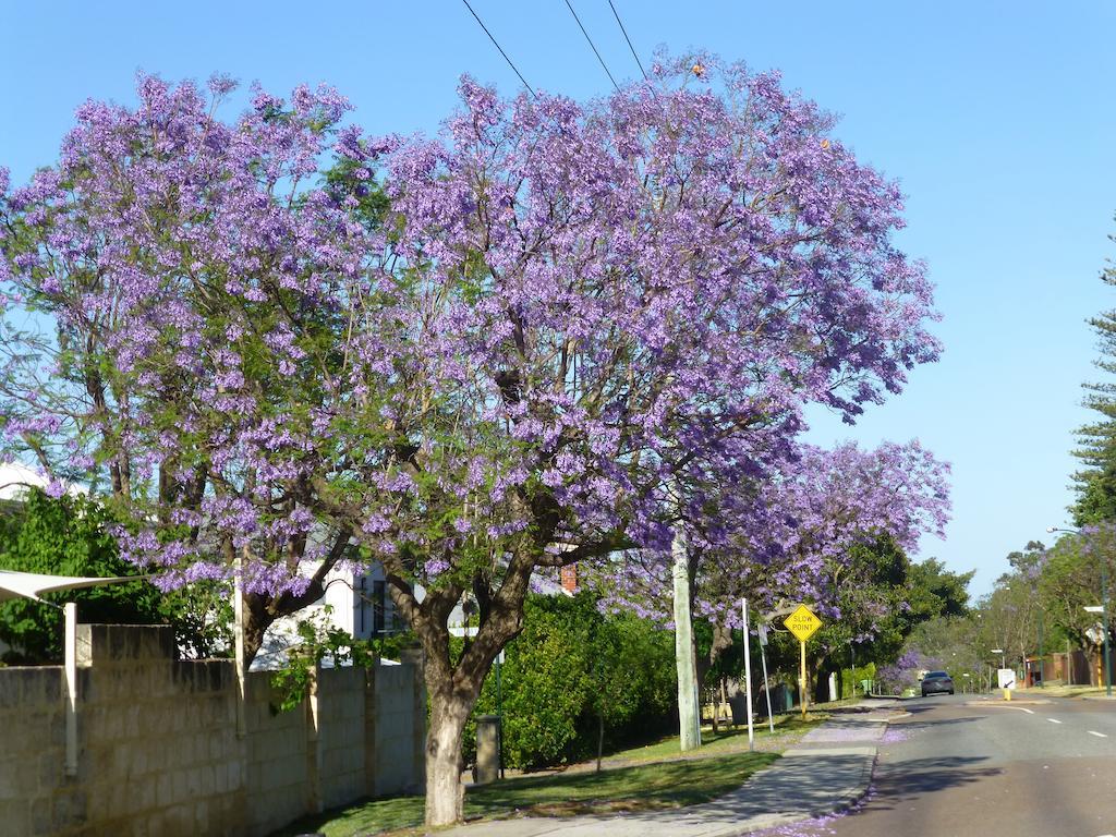 Lakeside Bed&Breakfast Perth Exterior foto